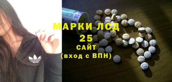 PSILOCYBIN Новодвинск