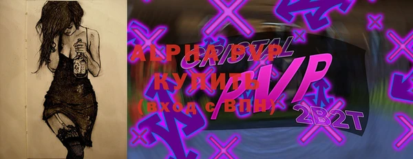 стаф Новозыбков
