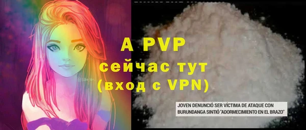 PSILOCYBIN Новодвинск