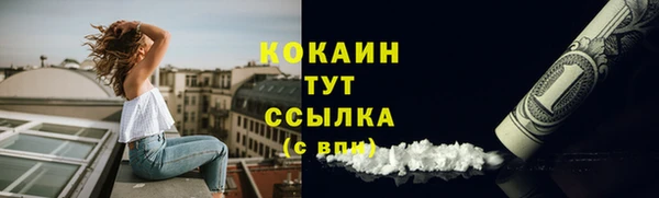 стаф Новозыбков