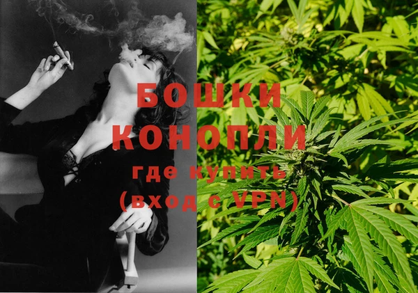 стаф Новозыбков