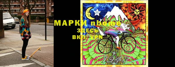 стаф Новозыбков