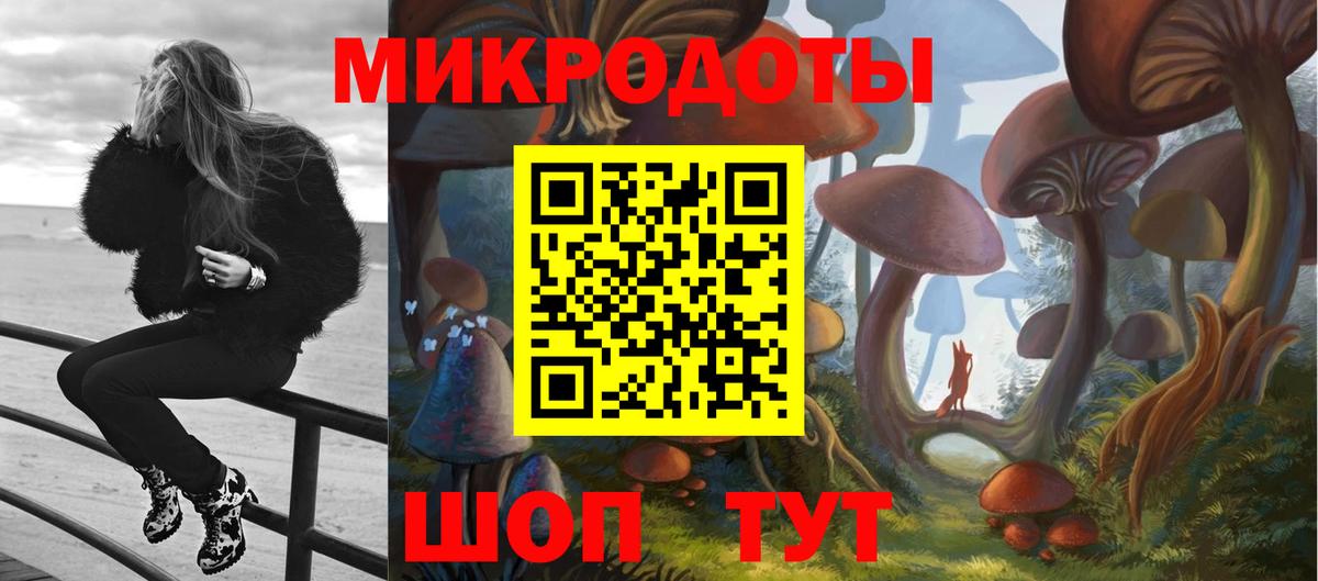 Набережные Челны  Псилоцибиновые грибы мицелий  Вход с VPN 